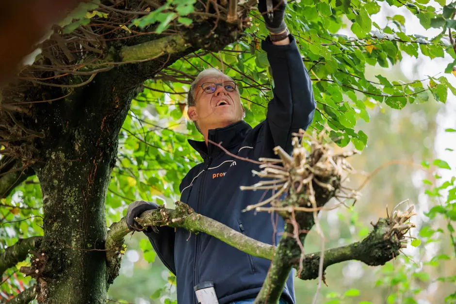 MEDEWERKERSDAGPROWONEN 16102025 TIMMENGERINK 70
